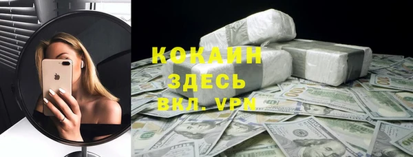 метадон Алексин