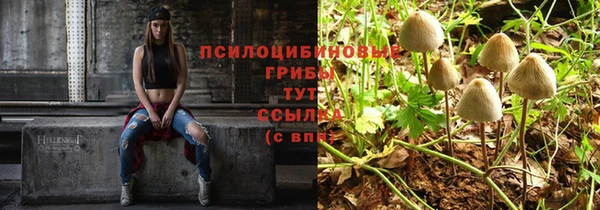 прущая мука Алзамай