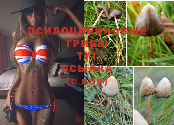 метадон Алексин