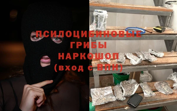 ГАЛЛЮЦИНОГЕННЫЕ ГРИБЫ Гусь-Хрустальный